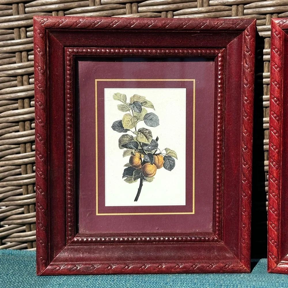 ITALIAN Set of Burgundy Decorative Wood Picture Frames with Botanical Prints 5x6